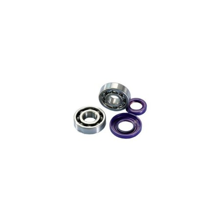 Kit Revisione Albero Polini 2.820.005 per Vespa Special
