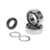 Kit Revisione Albero Polini 2.820.008 per Piaggio SI Ciao