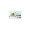 IM07059 albero Motore Completo Top Performance per +