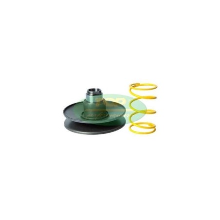 Convertitore di coppia Piaggio 50 cc Top Performance 9923150