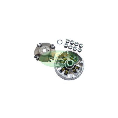 9931790 variatore Variotop TPR Top Performance per Yamaha