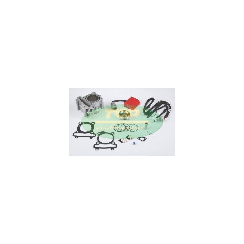 Gruppo termico Top Performance 9927260 per D.63 Wr 125 R