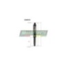 Coppia Ammortizzatori Posteriori Top Performance SAM0038