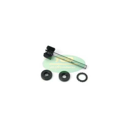 Kit Revisione pompa Acqua Top Performance AA00811 per April