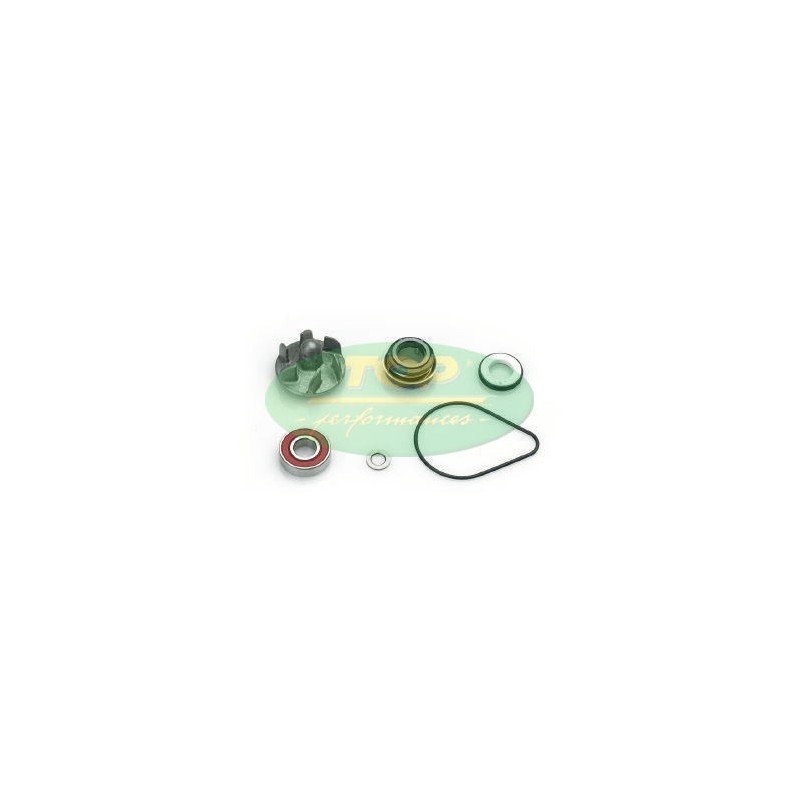Kit Revisione pompa Acqua Top Performance per Honda