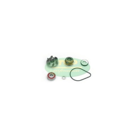 Kit Revisione pompa Acqua Top Performance per Honda