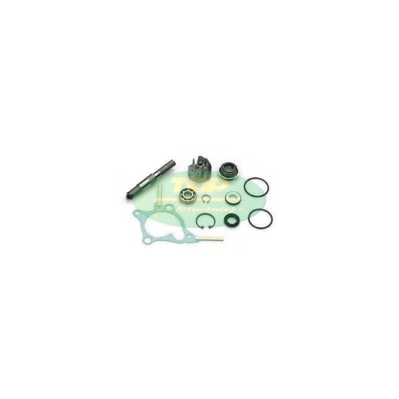 Kit Revisione pompa Top Performances AA00814 per Kit