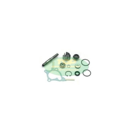 Kit Revisione pompa Top Performances AA00814 per Kit