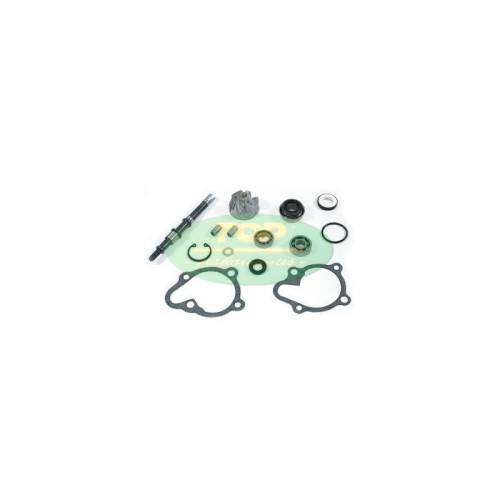 Kit Revisione pompa Acqua Top Performance AA00815 per Kymco