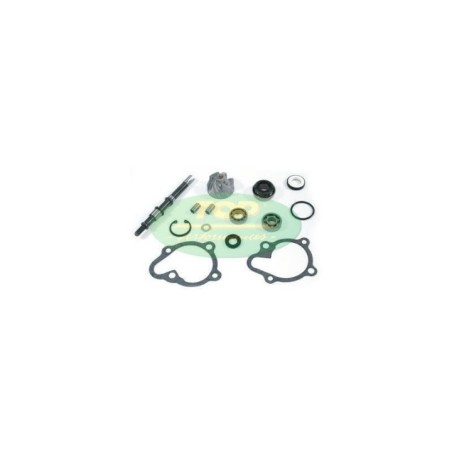 Kit Revisione pompa Acqua Top Performance AA00815 per Kymco