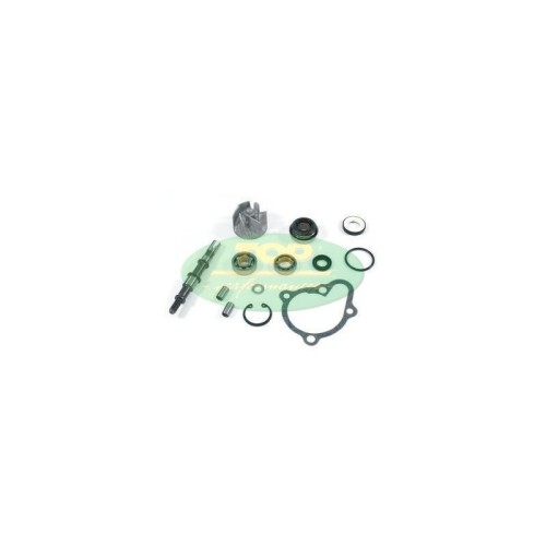 Kit Revisione pompa Acqua Top Performance per Kymco 250 /