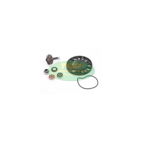 AA00817 kit Revisione pompa Acqua Top Performance per Piaggi