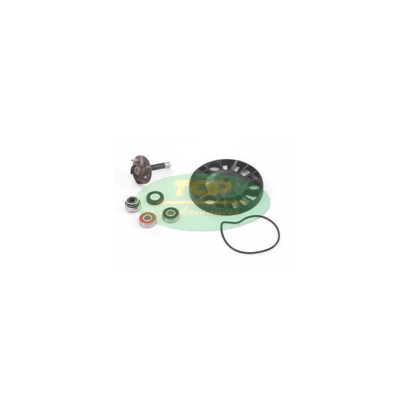 AA00817 kit Revisione pompa Acqua Top Performance per Piaggi