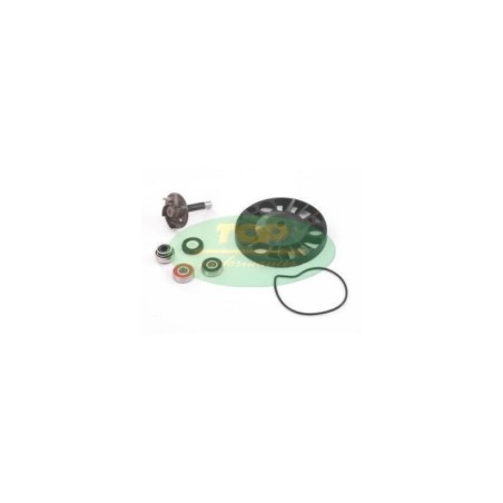 AA00817 kit Revisione pompa Acqua Top Performance per Piaggi