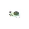 AA00817 kit Revisione pompa Acqua Top Performance per Piaggi