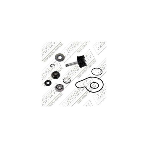 Kit Revisione pompa Acqua Top Performance AA00819 per Suzuki