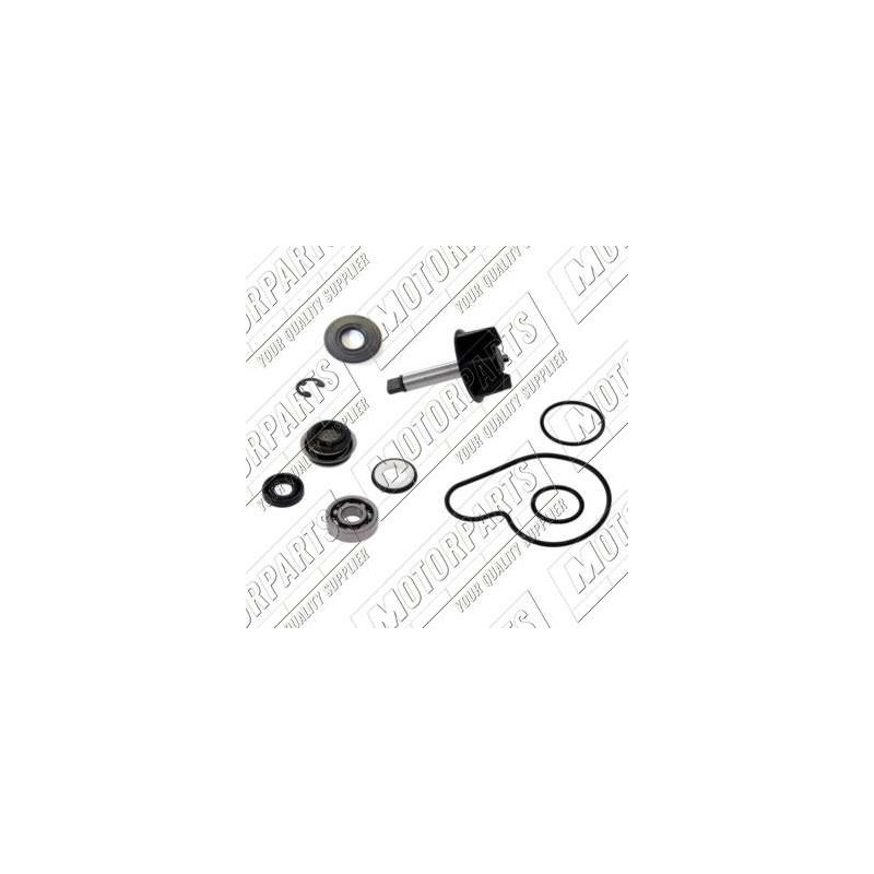 Kit Revisione pompa Acqua Top Performance AA00819 per Suzuki
