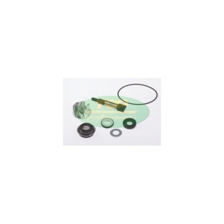AA00822 kit Revisione pompa Acqua Top Performance per Honda