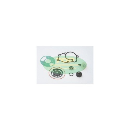 Kit Revisione pompa Top Performances AA00823 per Kit