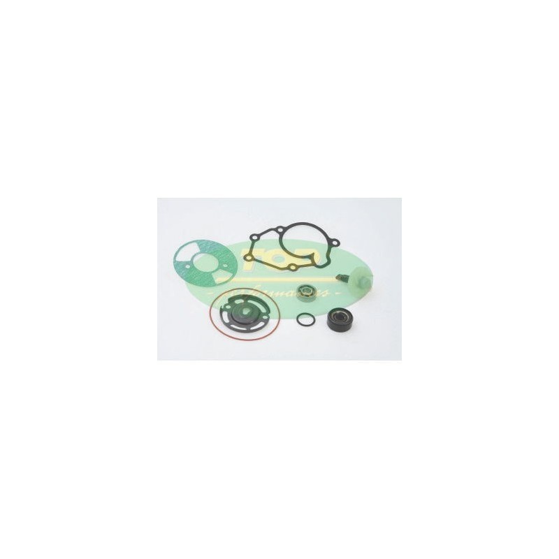 Kit Revisione pompa Top Performances AA00823 per Kit