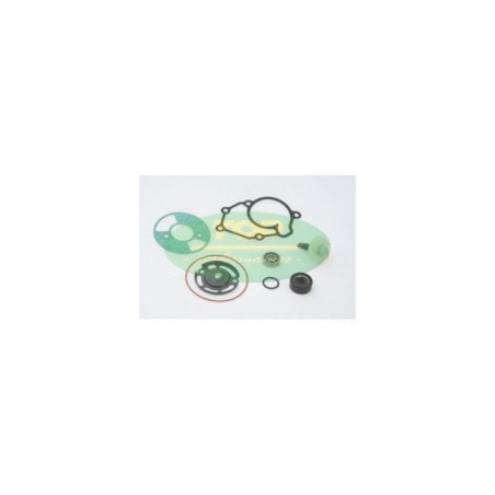 Kit Revisione pompa Top Performances AA00823 per Kit