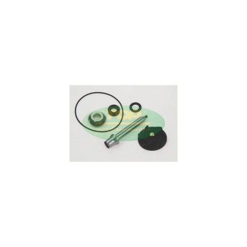 Kit Revisione pompa Acqua Top Performance AA00824 per Piaggi