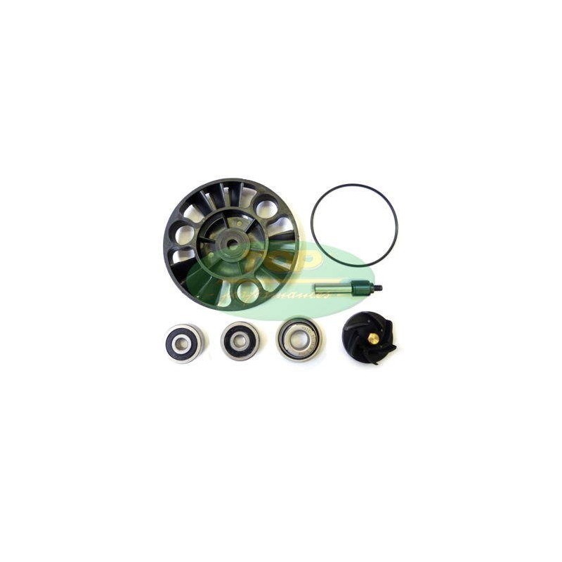AA00826 kit Revisione pompa Acqua Top Performance per Piaggi