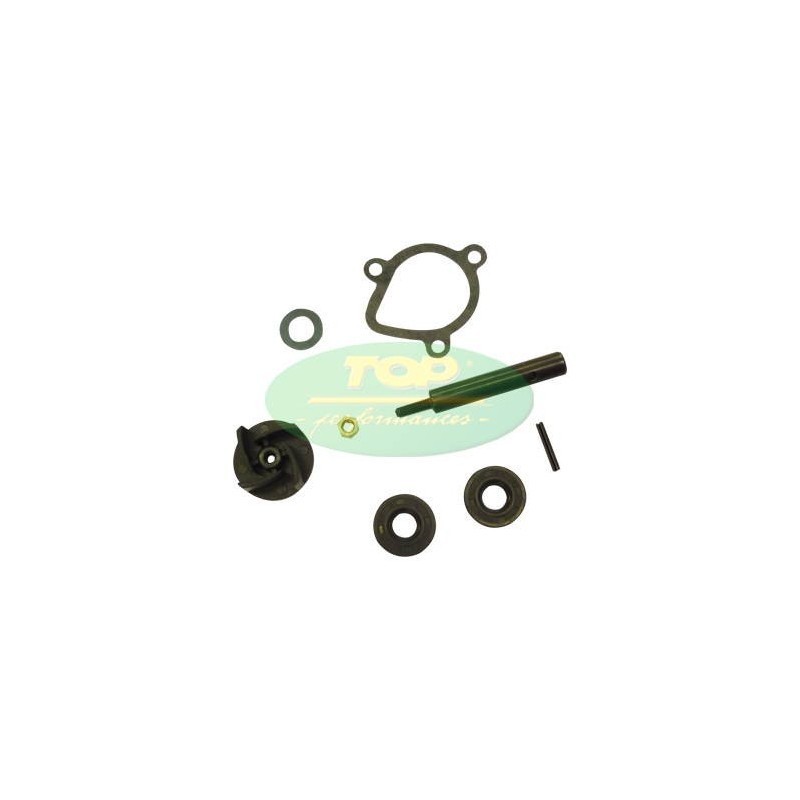 Kit Revisione pompa Top Performances AA00827 per Kit