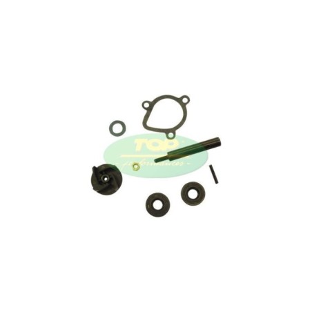 Kit Revisione pompa Top Performances AA00827 per Kit