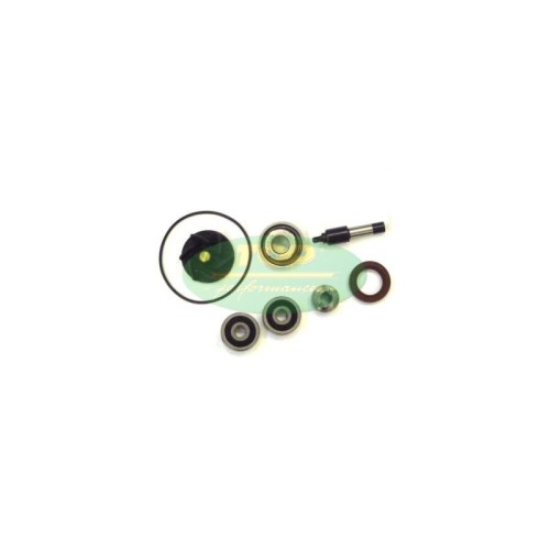 Kit Revisione pompa Acqua Top Performance AA00828 per Piaggi