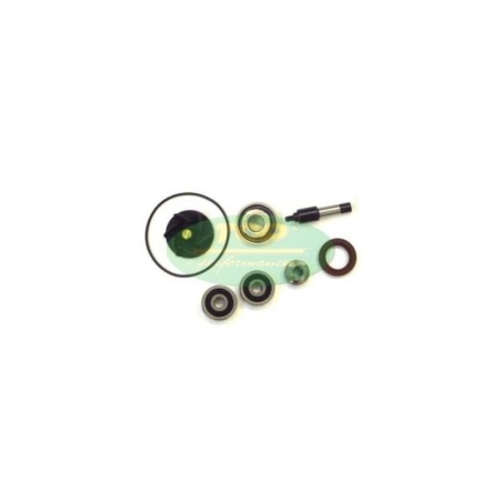 Kit Revisione pompa Acqua Top Performance AA00828 per Piaggi