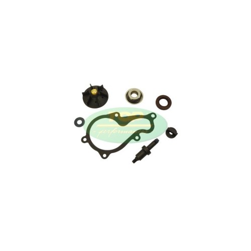 Kit Revisione pompa Acqua Top Performance per Piaggio