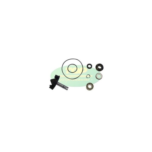 AA00831 kit Revisione pompa Acqua Top Performance per Yamaha