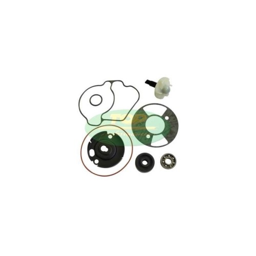Kit Revisione pompa Top Performances AA00832 per Kit