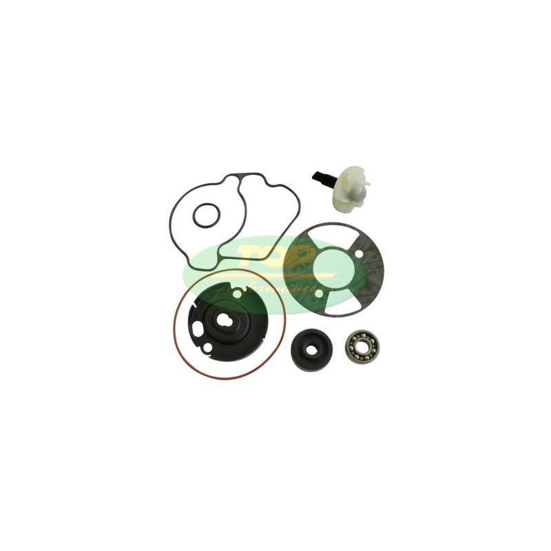 Kit Revisione pompa Top Performances AA00832 per Kit