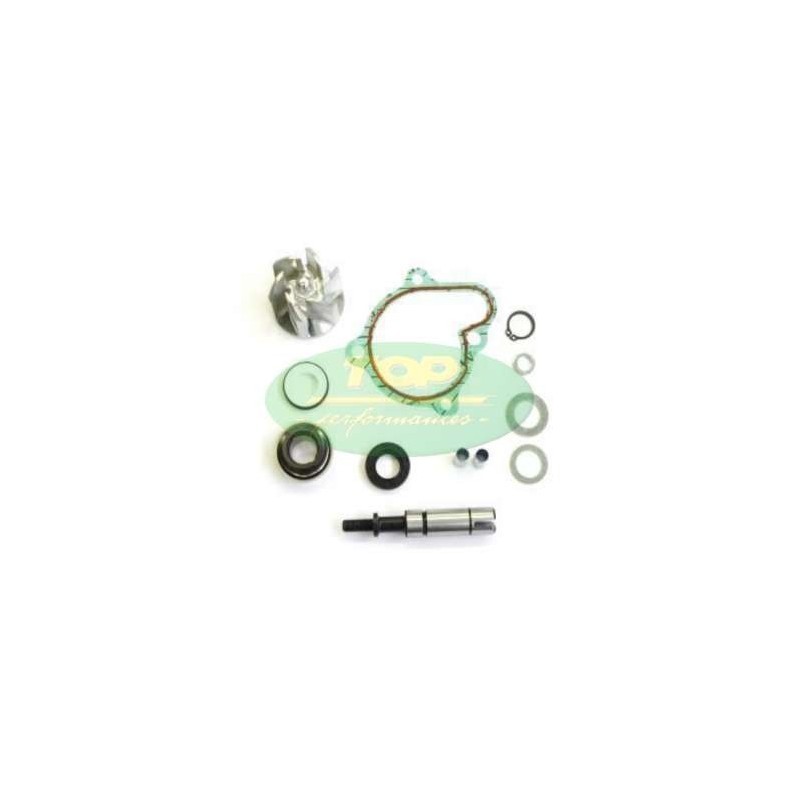 Kit Revisione pompa Acqua Top Performance AA00833 per Kymco