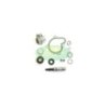 Kit Revisione pompa Acqua Top Performance AA00833 per Kymco