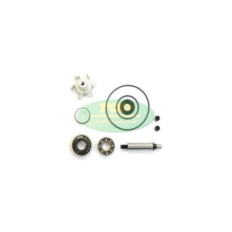 Kit Revisione pompa Acqua Top Performance per Honda Pcx