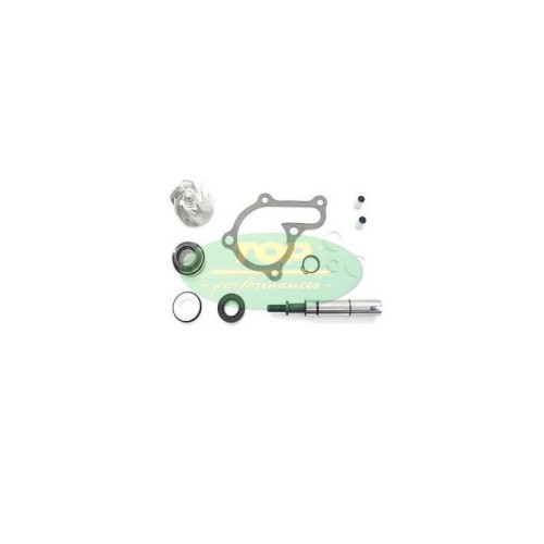 AA00835 kit Revisione pompa Acqua Top Performance per Kymco