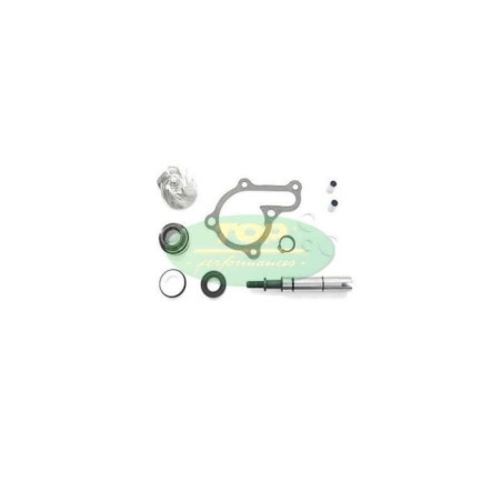 AA00835 kit Revisione pompa Acqua Top Performance per Kymco