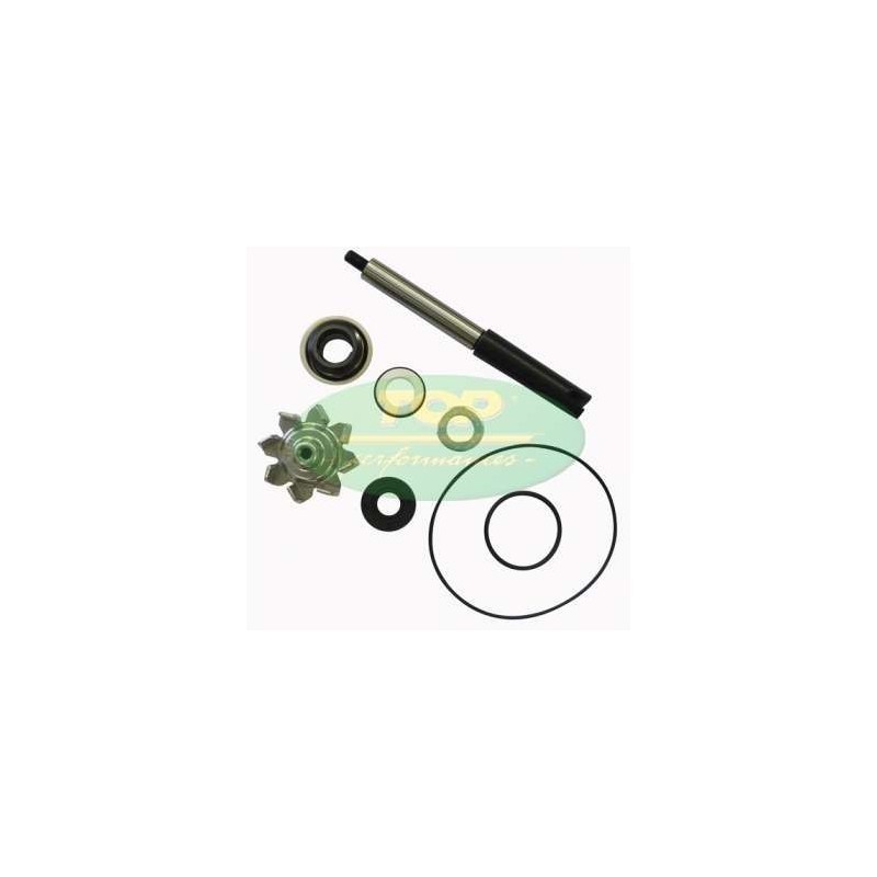 Kit Revisione pompa Top Performances AA00836 per Kit