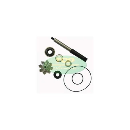 Kit Revisione pompa Top Performances AA00836 per Kit