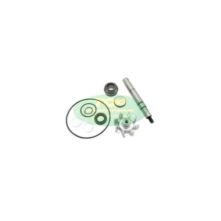 Kit Revisione pompa Top Performances AA00840 per KIT