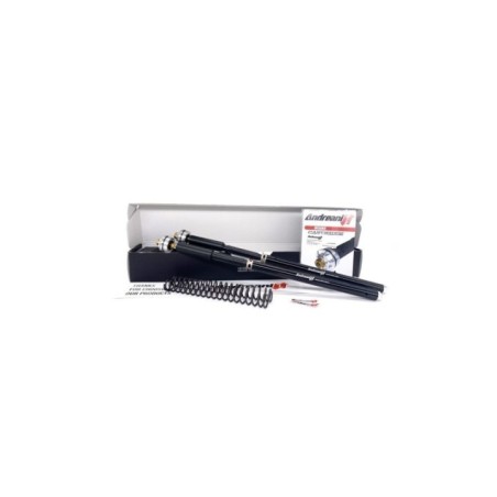 Kit Cartucce Forcella ANDREANI 105/BI1E per Kit cartucce