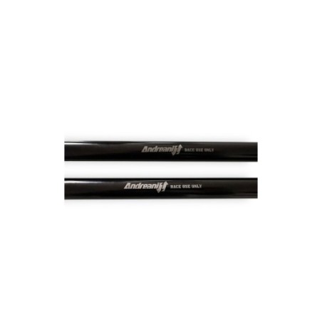 Kit Cartucce Forcella ANDREANI 305/C01E per Cagiva Raptor