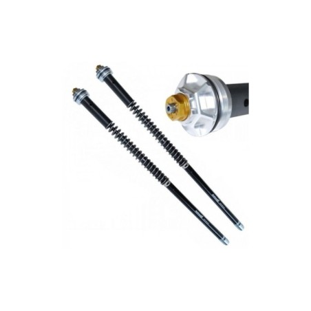 Kit Cartucce Forcella ANDREANI 110/HD1 per Harley