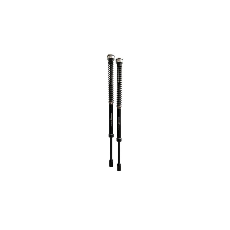 Kit Cartucce Forcella ANDREANI 210/HD16E per Harley