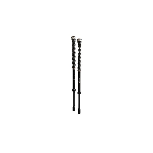 Kit Cartucce Forcella ANDREANI 210/HD18E per Harley