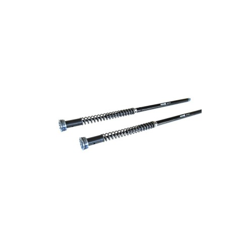 Kit Cartucce Forcella ANDREANI 210/HD33E per Harley