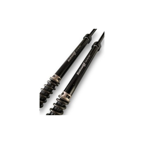 Kit Cartucce Forcella ANDREANI 210/HD02E per Harley